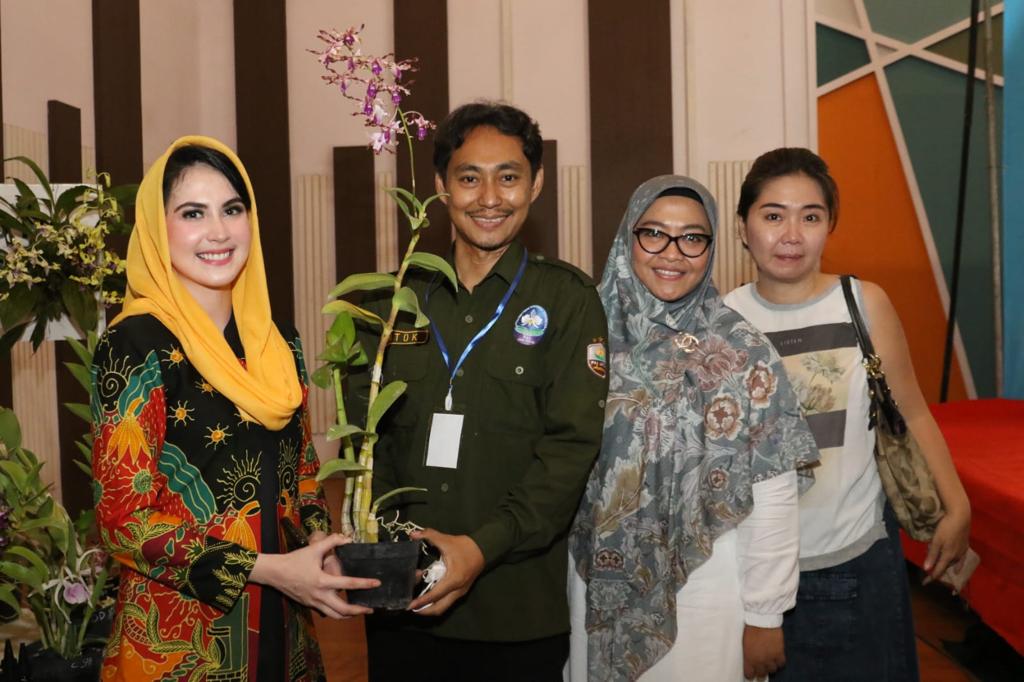 Anggrek ‘Dendrobium Arumi Bachsin’, Bunganya Secantik Arumi Lho
