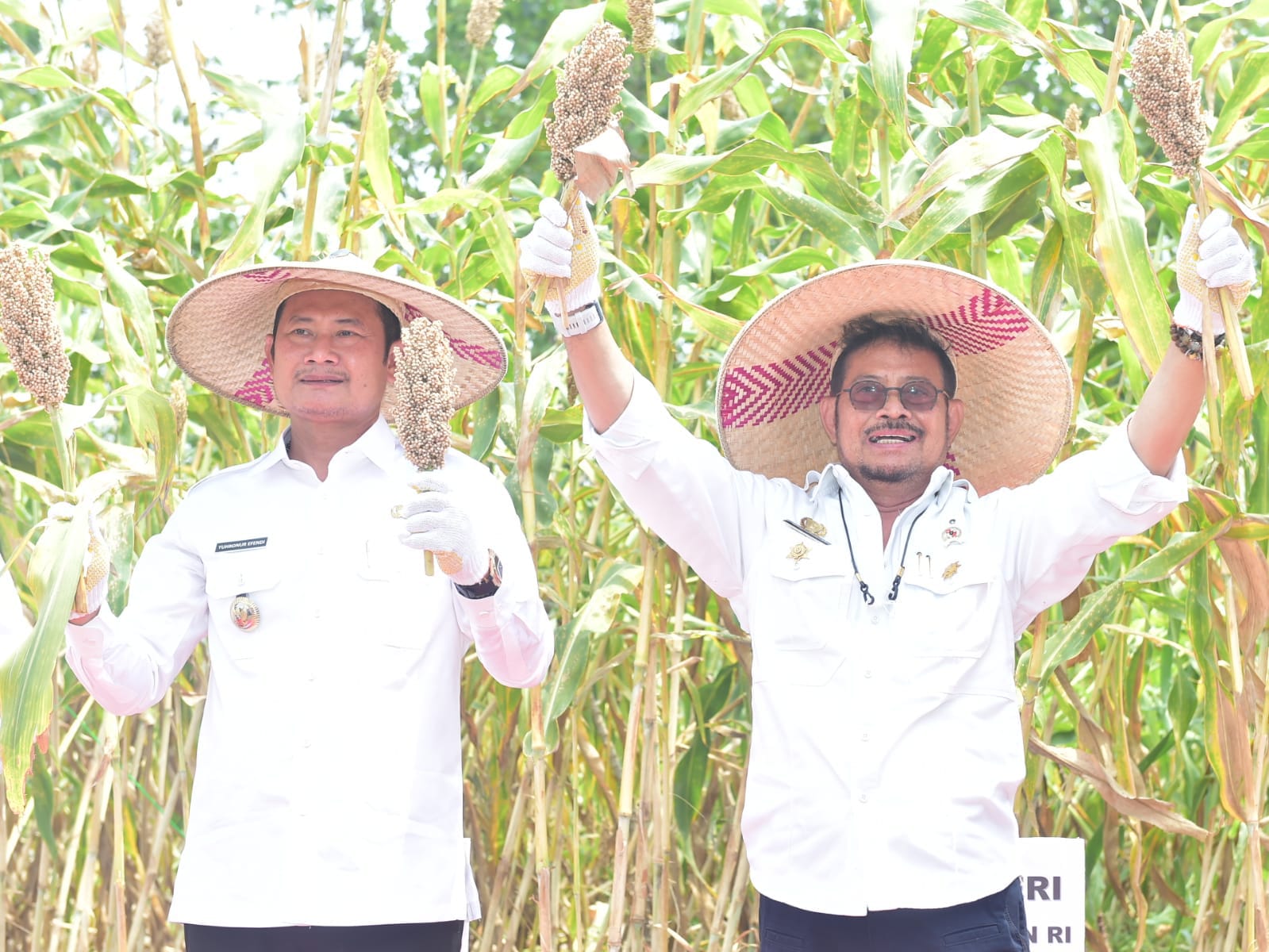 Mentan Dukung Lamongan Sebagai Kawasan Pengembangan Sorgum