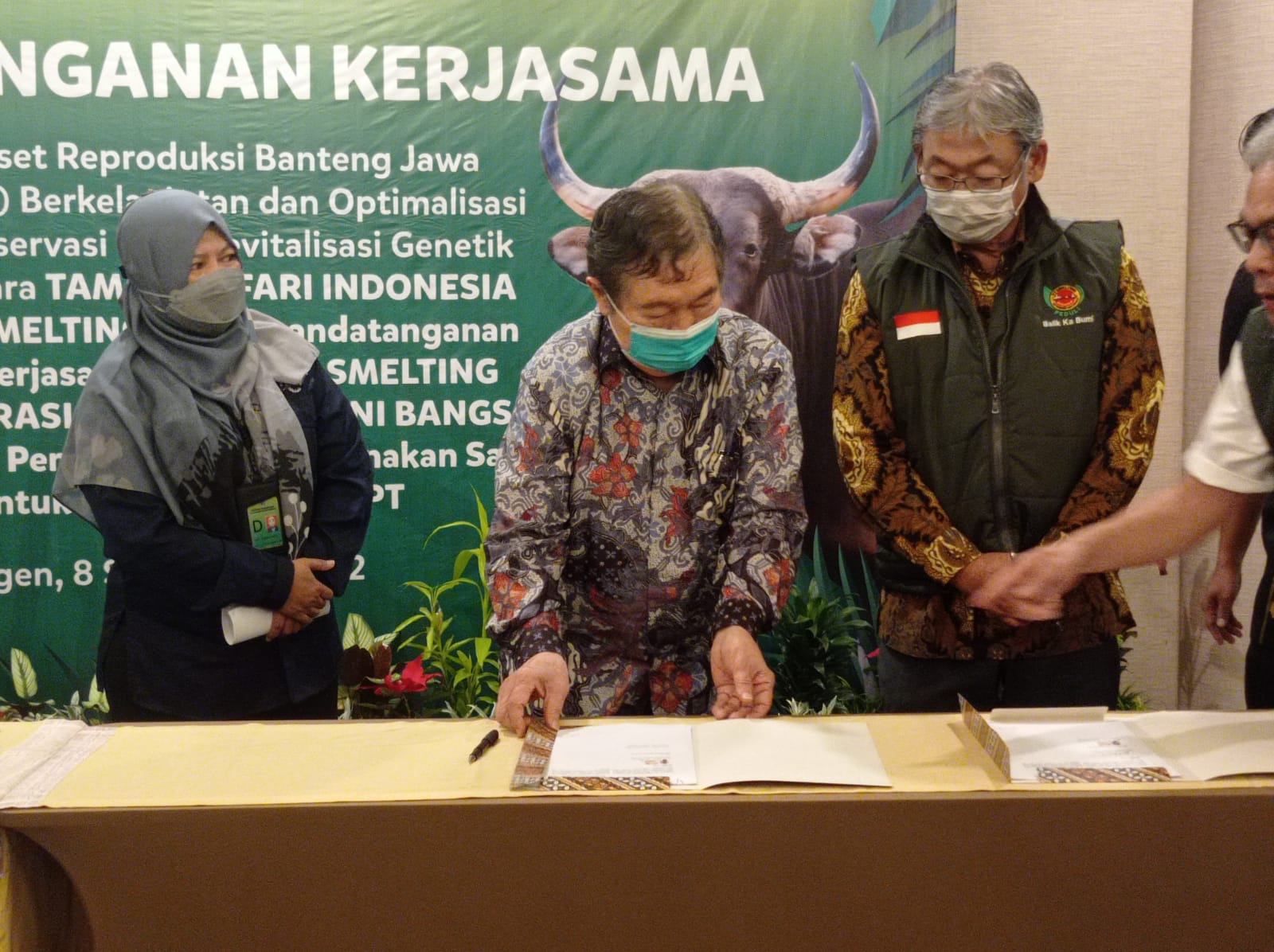 PT Smelting BNPT Dan TSI Tandatangani MoU Revitalisasi Genetik Sapi ...