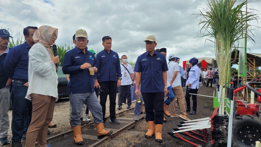Program Tumpang Sari BULE PTPN XI Menuju Kemandirian Kedelai