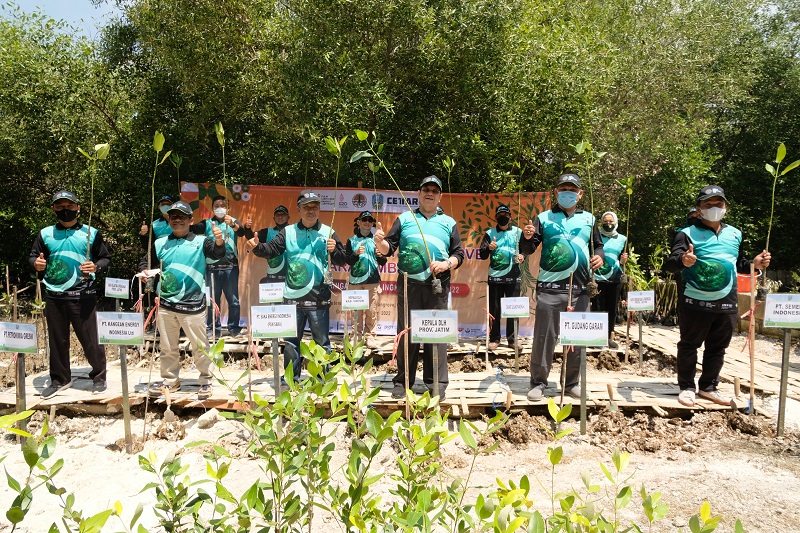 Peringati Hari Lingkungan Hidup, PGN Saka Tanam Mangrove di Pesisir Ujung Pangkah Gresik