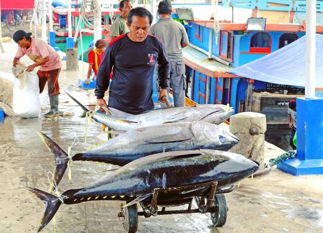 PT Perindo Siap Penuhi Ketersediaan Ikan Jelang Lebaran