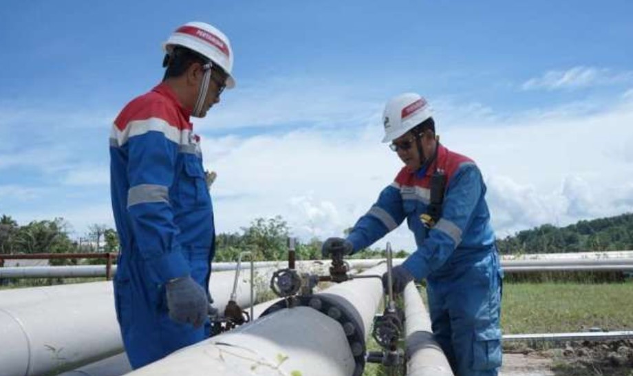 Kuartal I-2025, PGE Raih Pendapatan 101,51 Juta Dolar AS