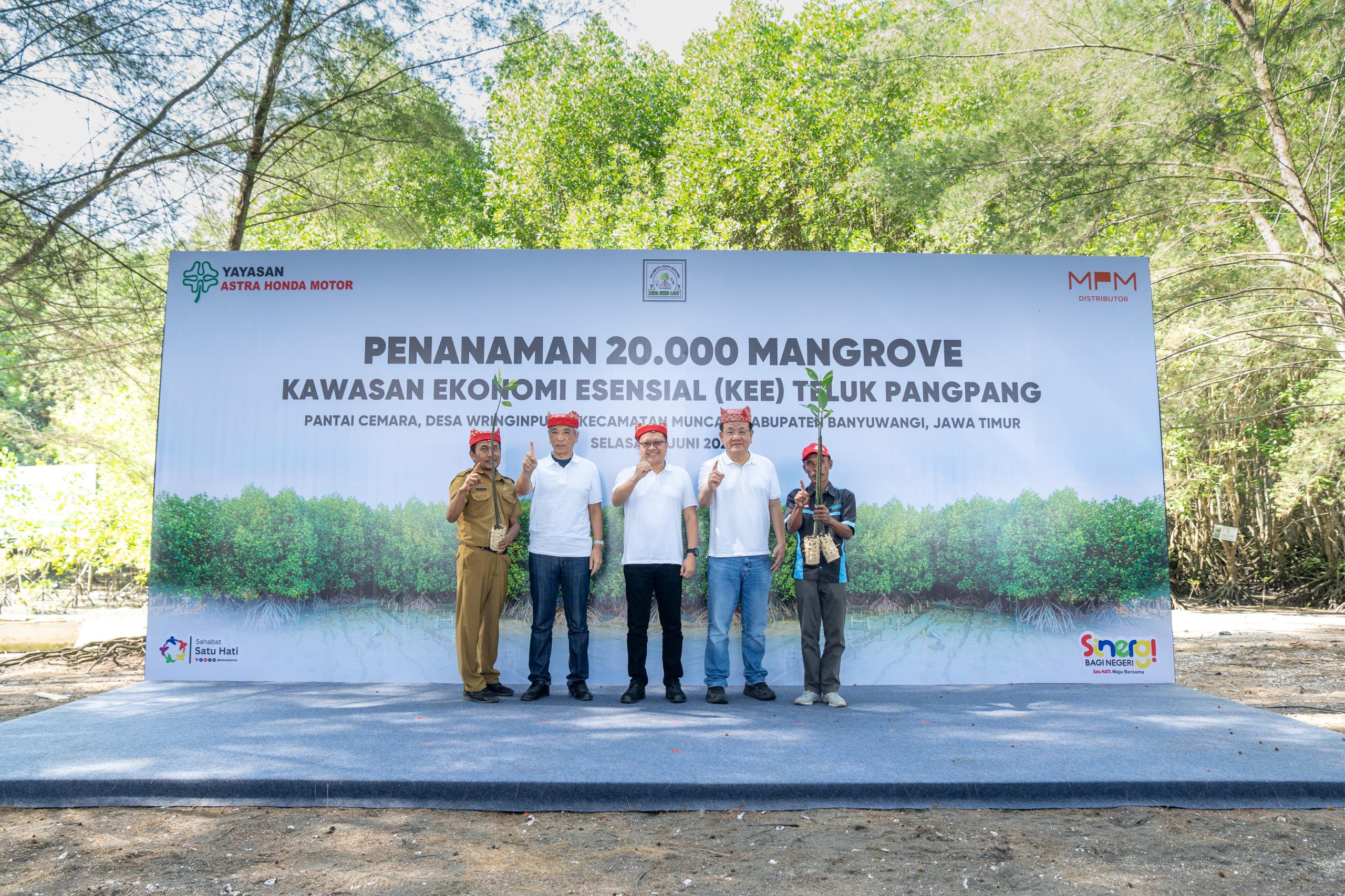 MPM Honda Jatim Tanam Puluhan Ribu Mangrove di Banyuwangi.