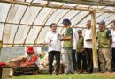 Desa Tawangargo Sukses Kembangkan Smart Eco Farming Village