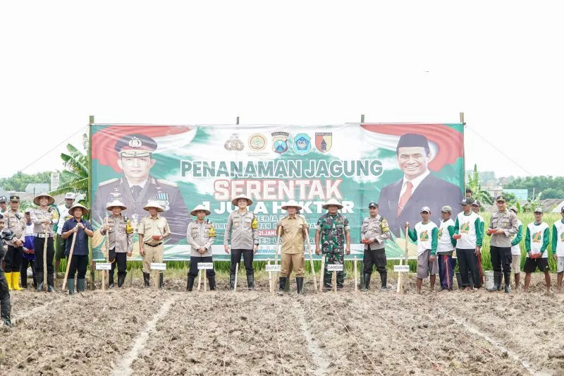 Dukung Asta Cita, Bupati Yes dan Forkopimda Lamongan Tanam Jagung