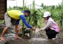 Dukung Ketahanan Pangan, PLN Jatim Jalankan Pompanisasi Pertanian