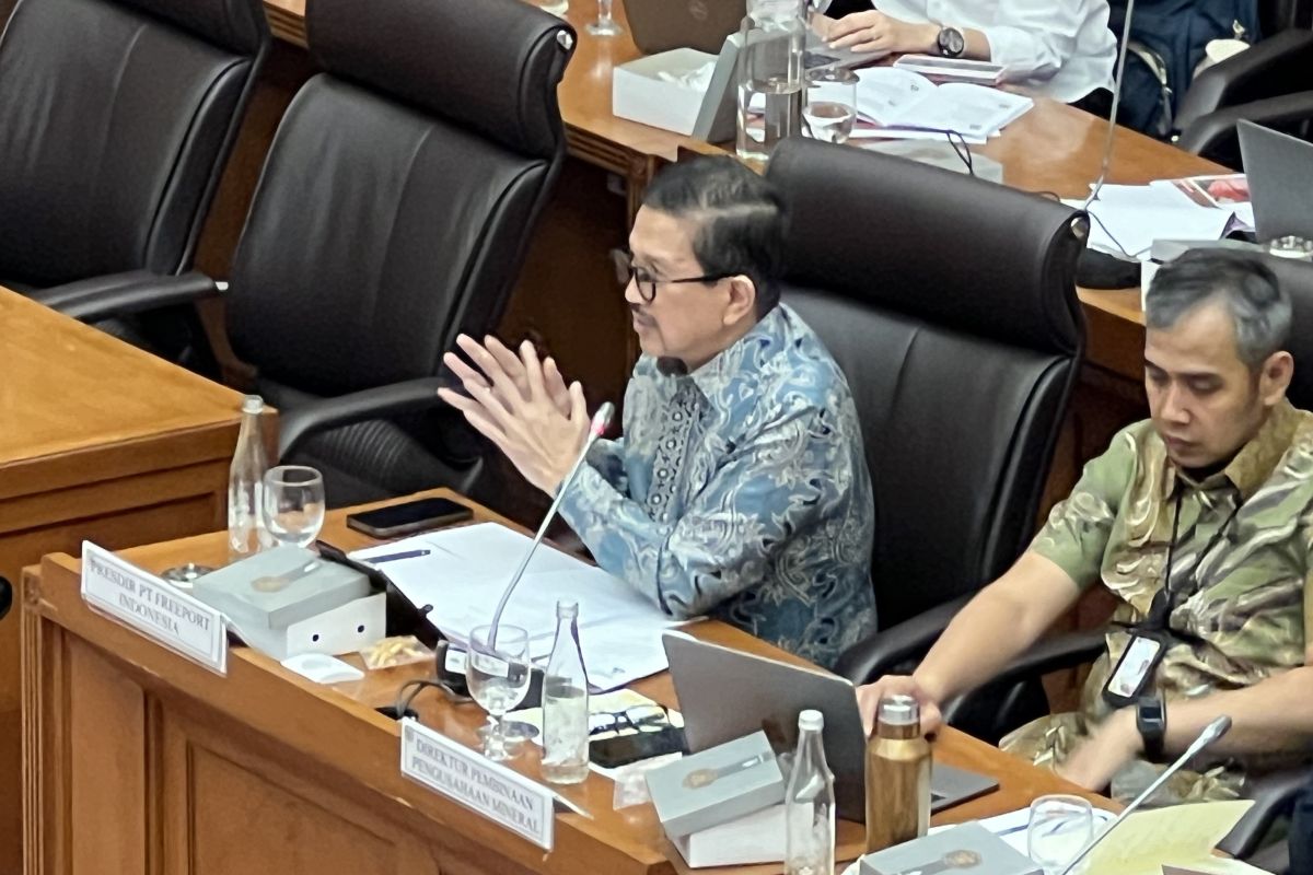 PTFI Sebut Maret Sudah Mulai Commissioning Smelter Gresik Pasca Kebakaran