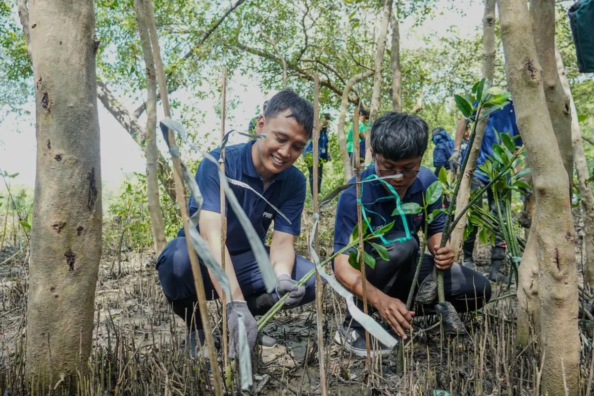Jaga Pesisir Surabaya dari Abrasi PT PAL Tanam Bibit Mangrove