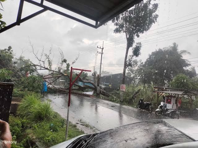 BPBD Lumajang Imbau Warga Waspadai Angin Kencang